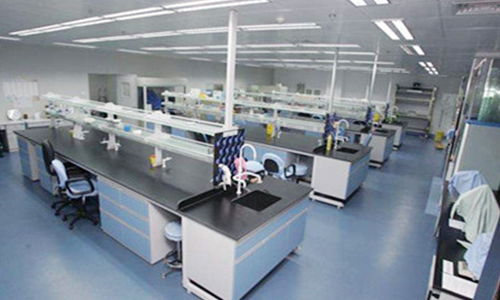 温渡基因实验室优势4